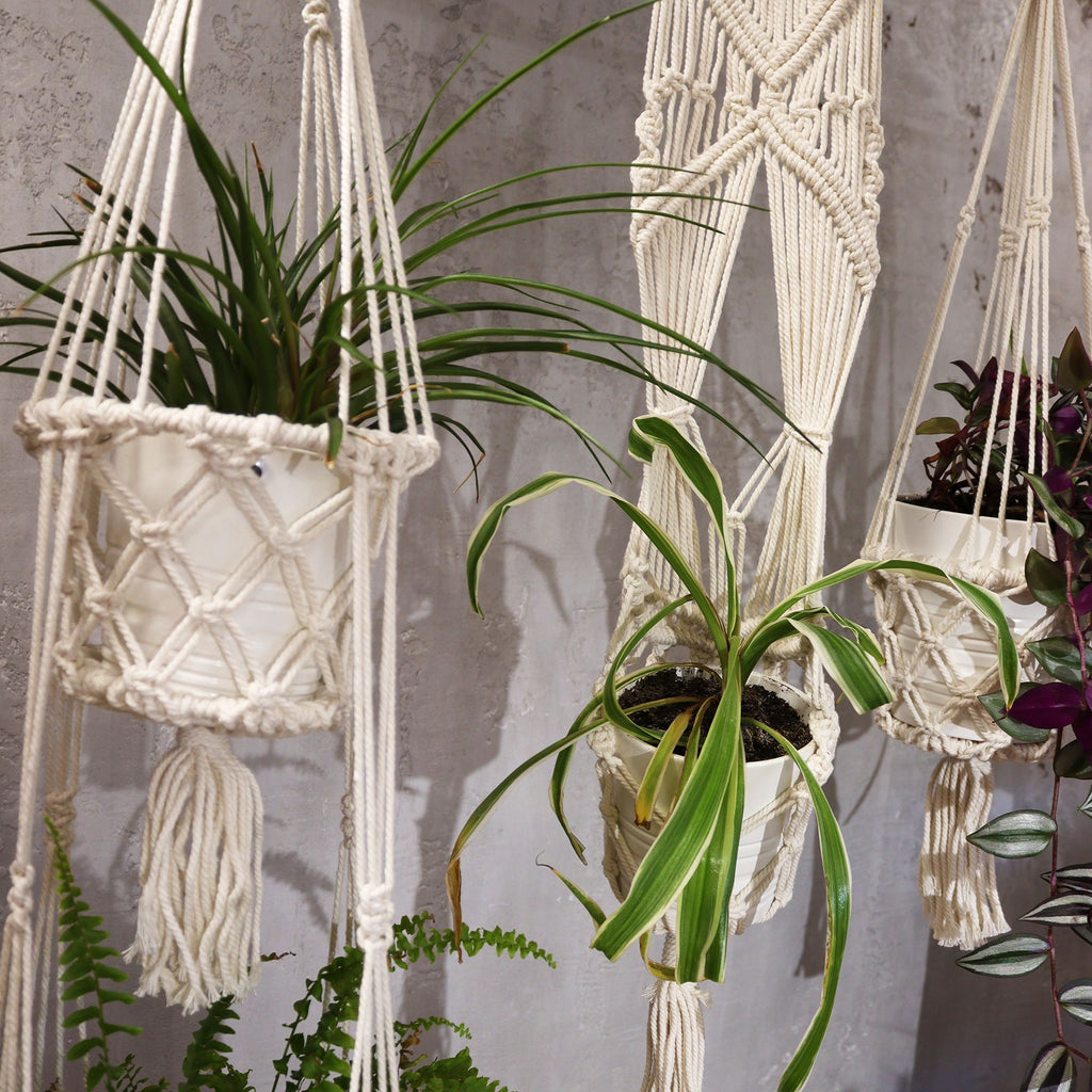 Suspensions pour plantes en macramé – Coton naturel