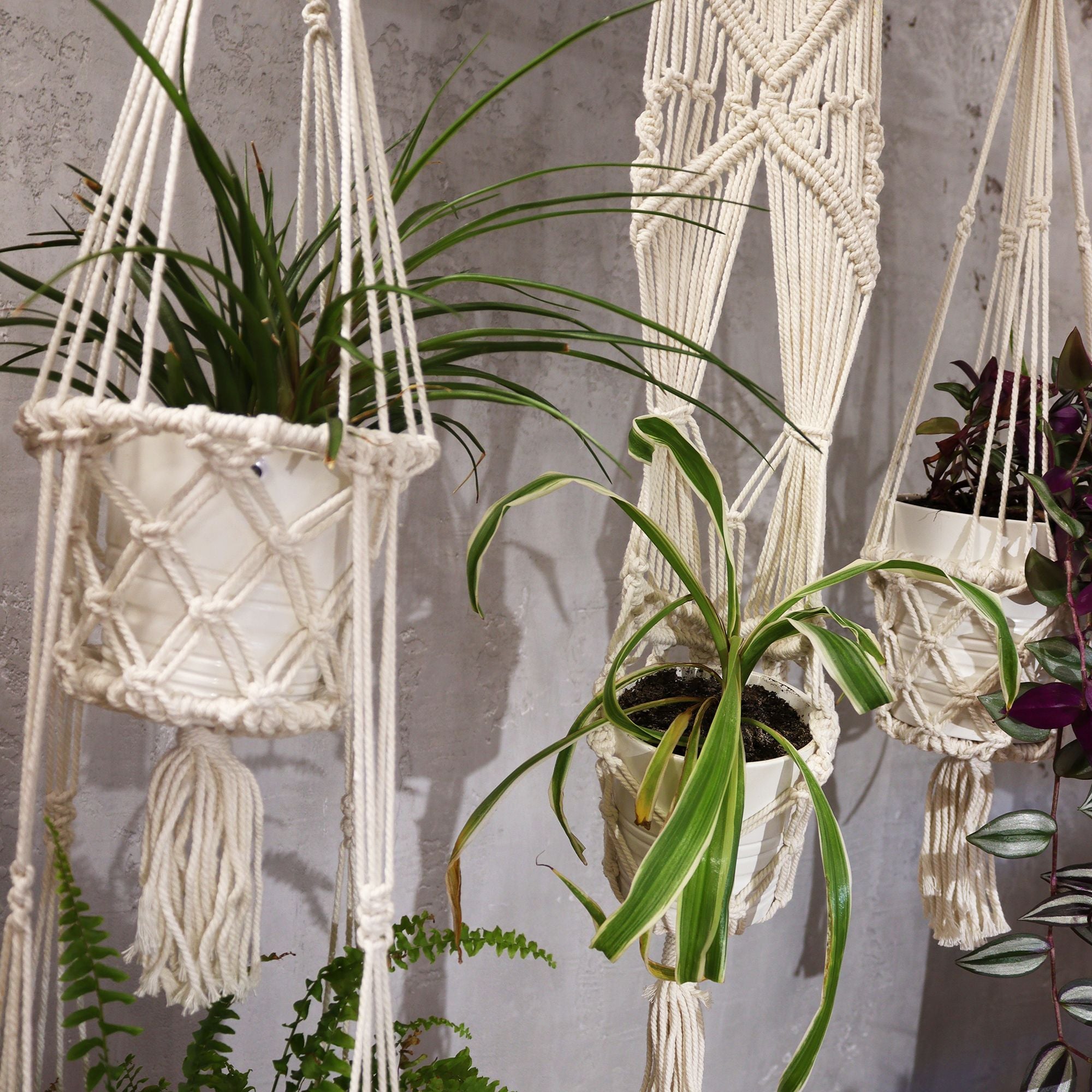 Support pour Pot en Macramé Naturel – Petit Modèle Suspendu