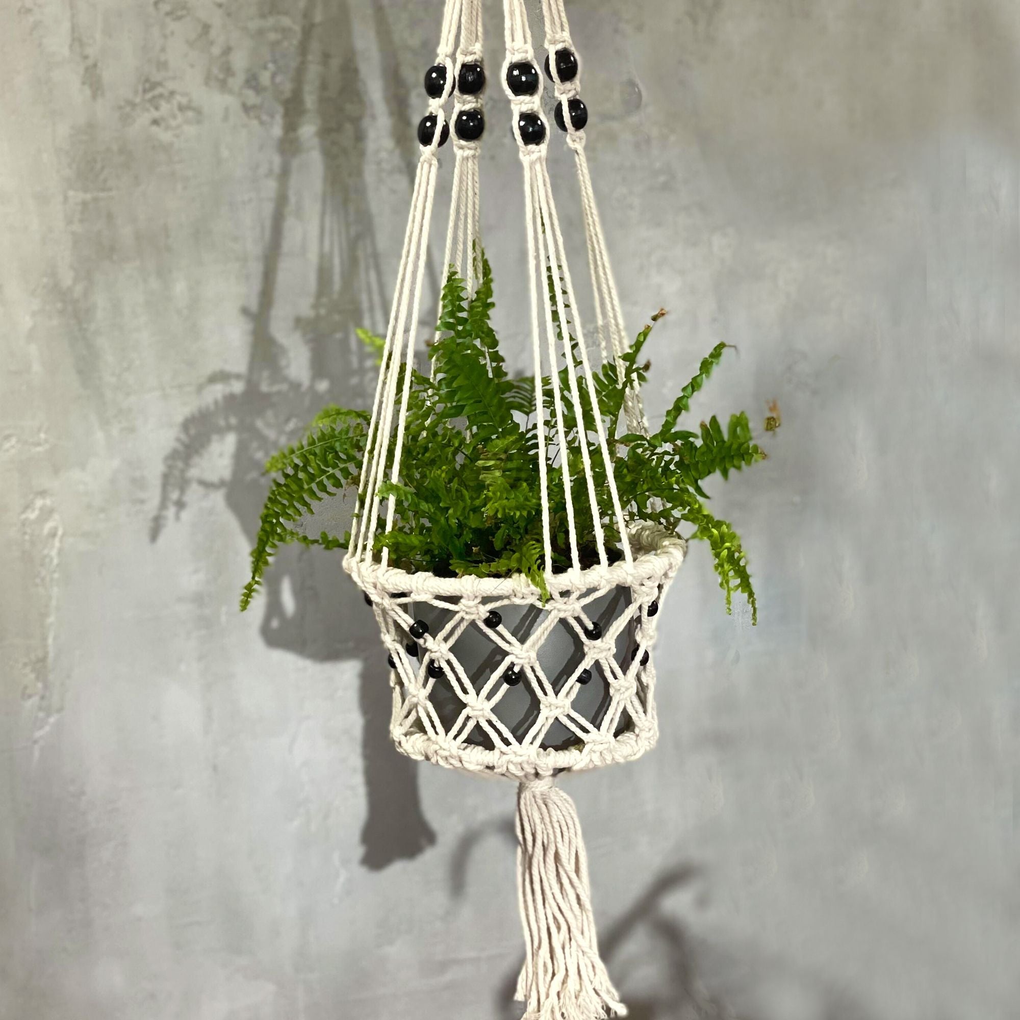 Suspension en macramé avec plante verte en intérieur