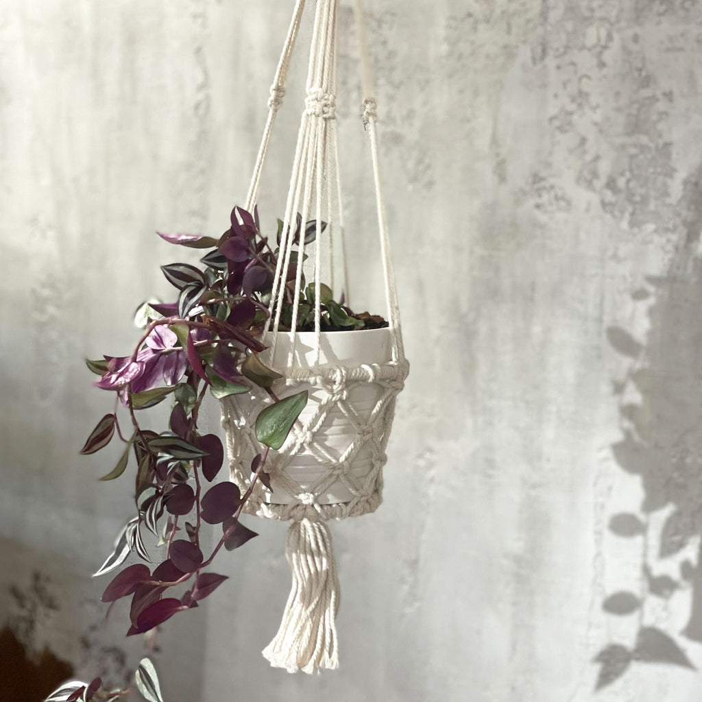 Support pour Pot en Macramé Naturel – Petit Modèle Suspendu