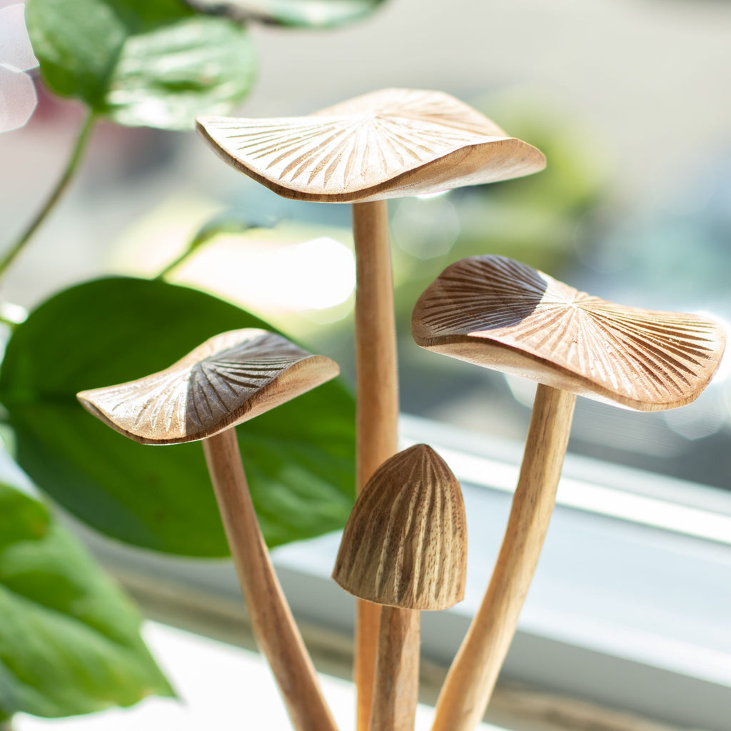 décoration champignons bois parasite