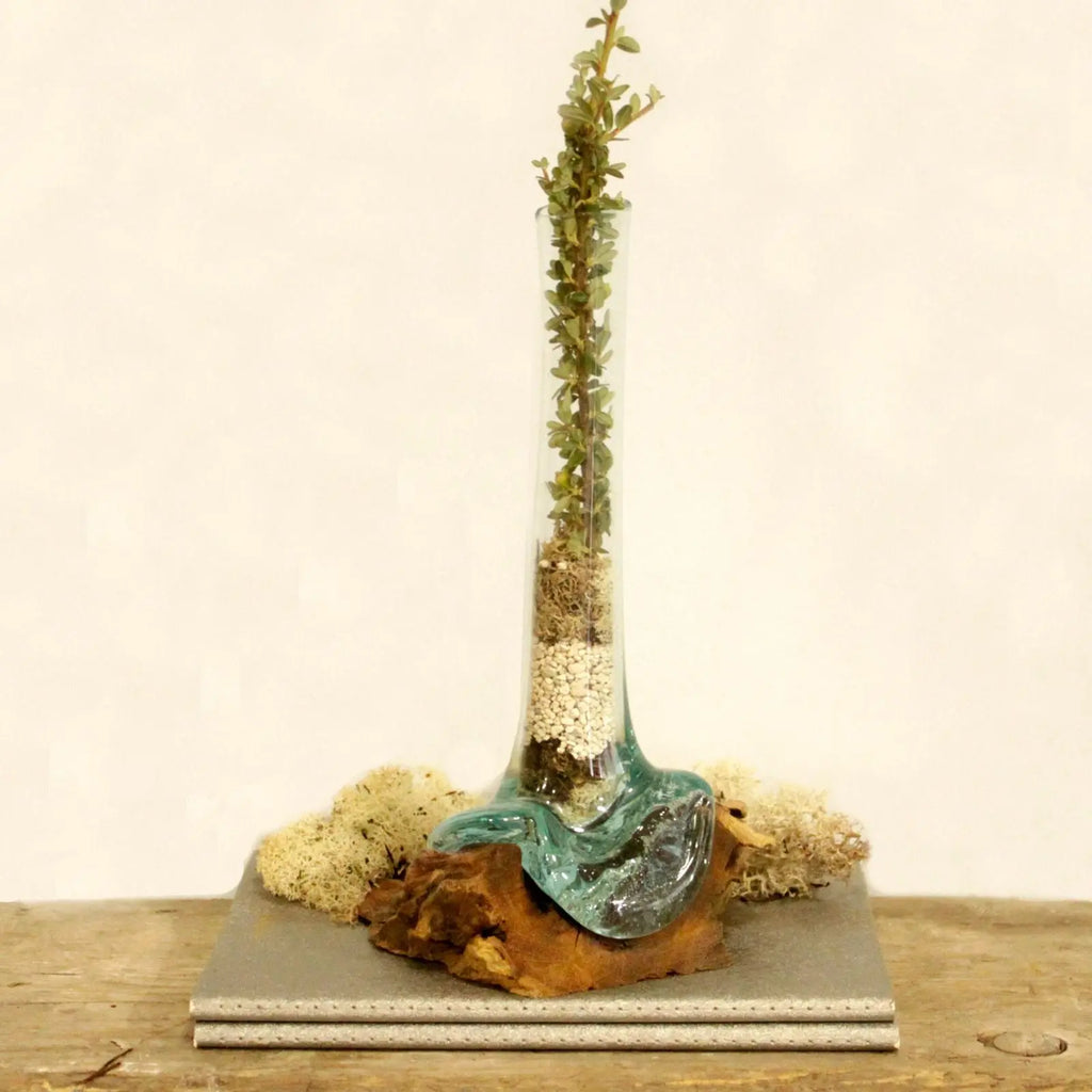 Vase Haut en Verre en Fusion sur Racine de Gamal - Pièce Artisanale Balinaise