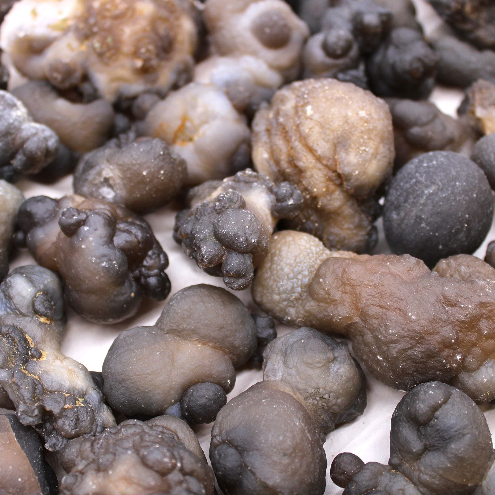 Calcédoine – Spécimens minéraux naturels (environ 100 pièces, 3,7 kg)