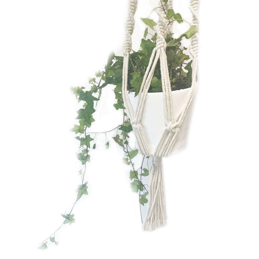 Suspension pour plante en macramé avec plante verte retombante