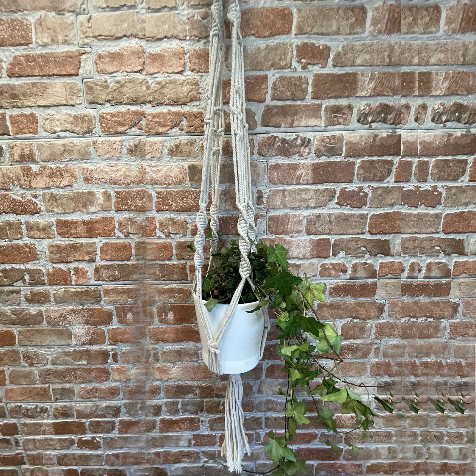 Pot blanc suspendu dans une suspension en macramé devant un mur en briques
