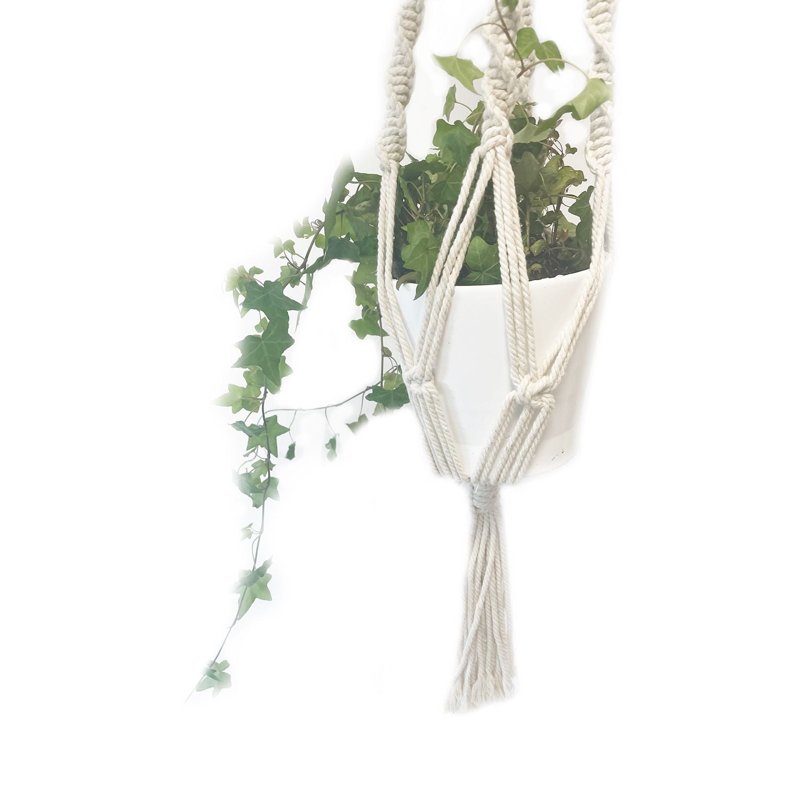 Suspension en macramé avec pot blanc et plante verte