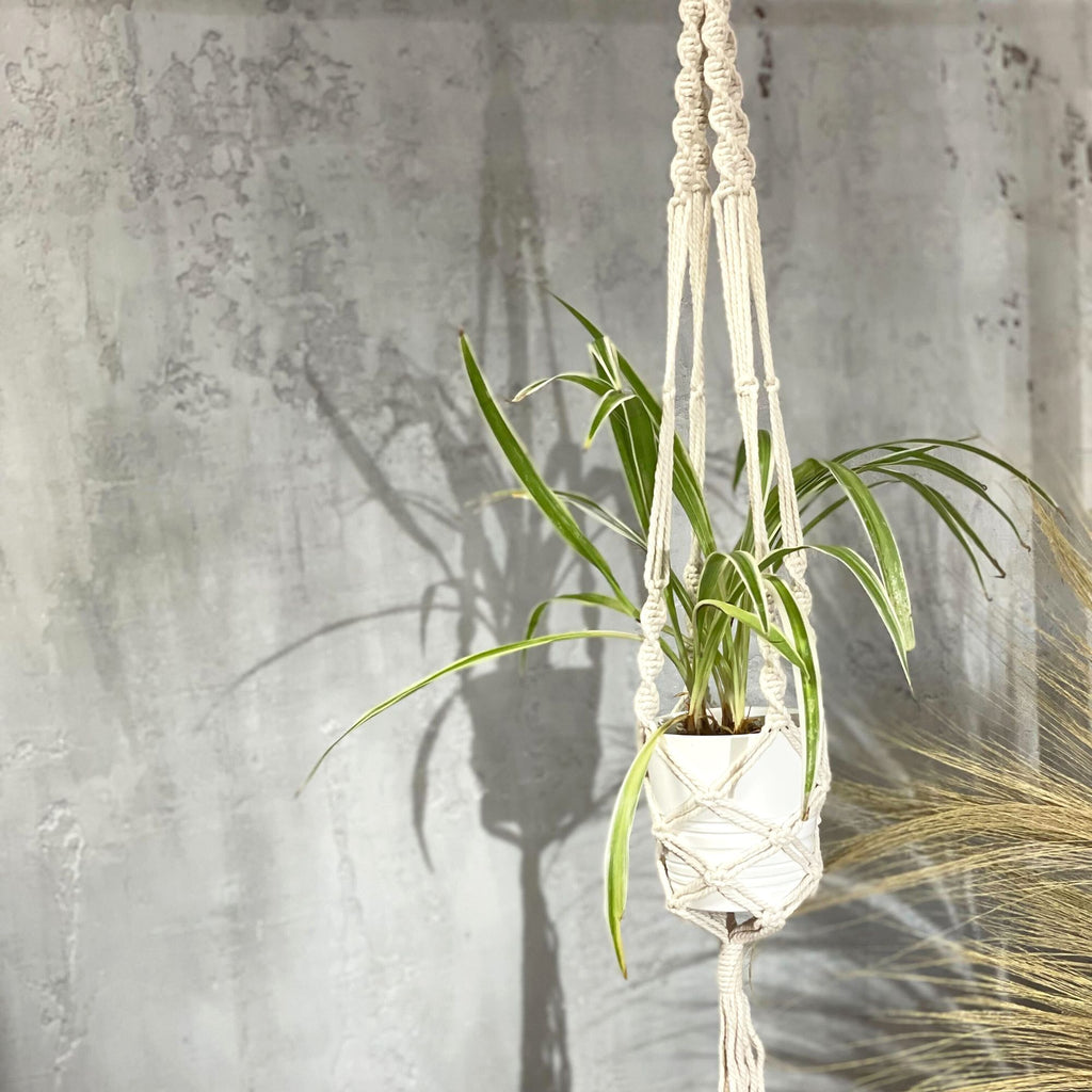 Suspension artisanale en coton tressé pour pot de plante