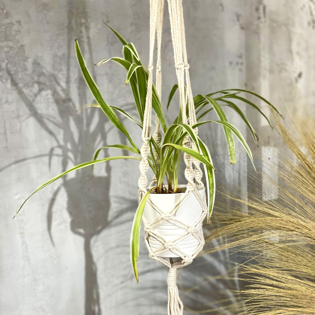 Suspension artisanale en coton tressé pour pot de plante