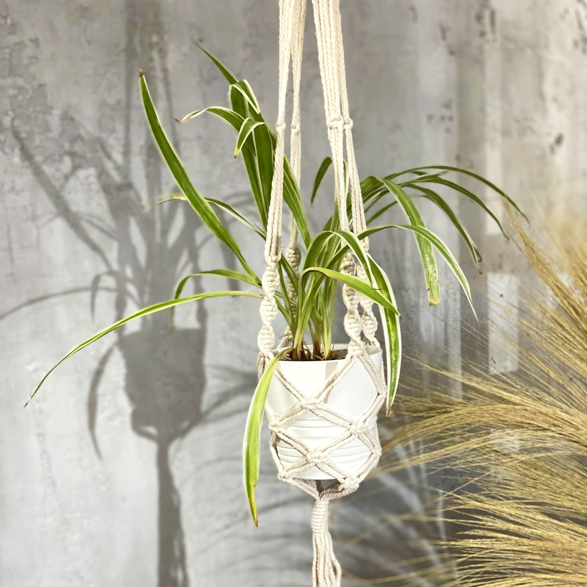 Suspension artisanale en coton tressé pour pot de plante