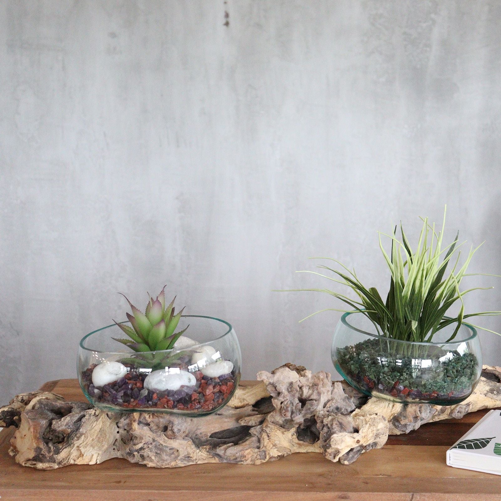 Présentoir Double en Verre en Fusion sur Racine de Gamal - 75 cm