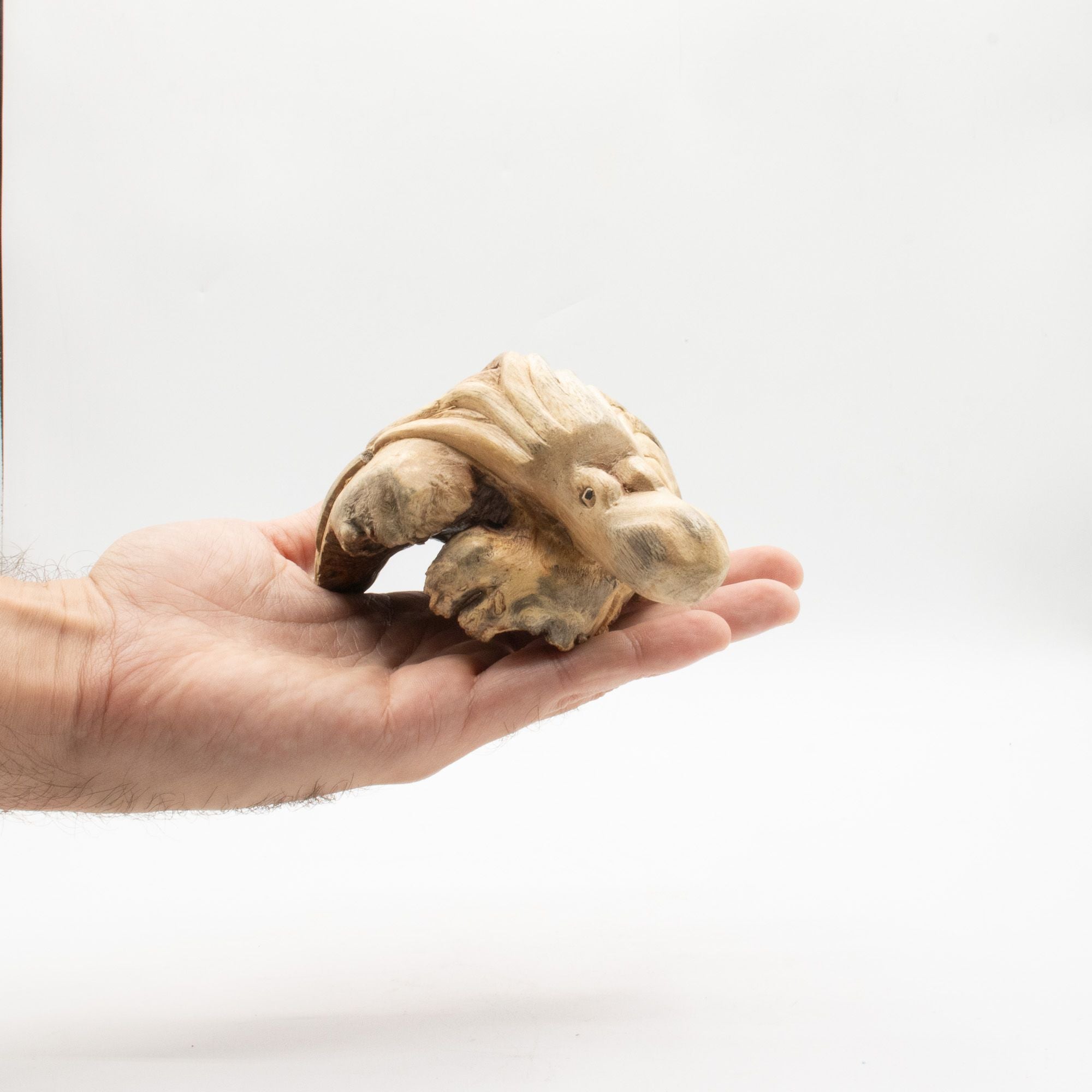 Sculpture de pieuvre en bois parasite tenue dans une main pour montrer ses dimensions