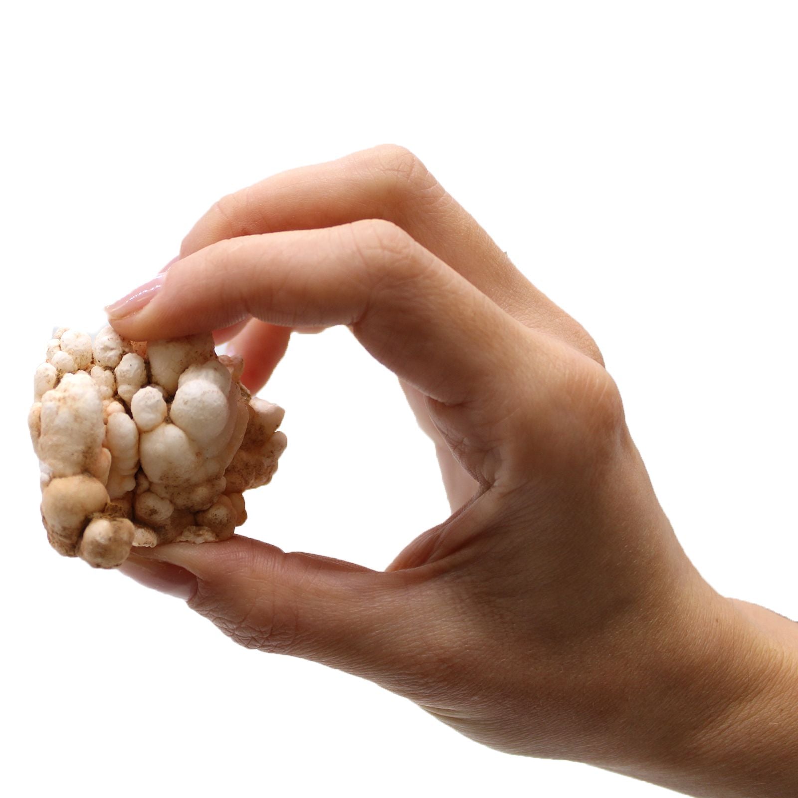 Calcite florale – Spécimens minéraux naturels (environ 20 pièces)