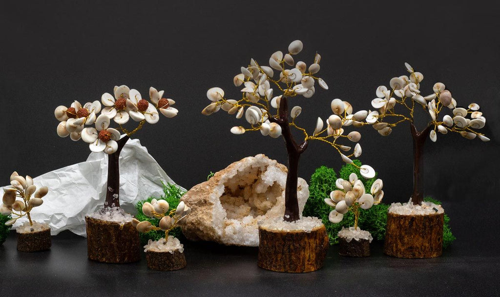Gomati Chakra Stone Trees – Set of 4