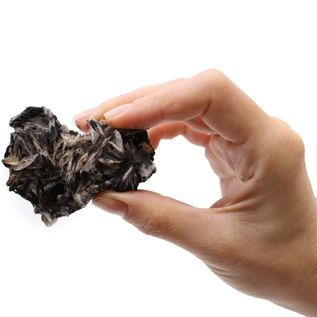 Coffret de spécimens minéraux – Pièces mixtes (environ 24 pièces) - Karmic Artisan