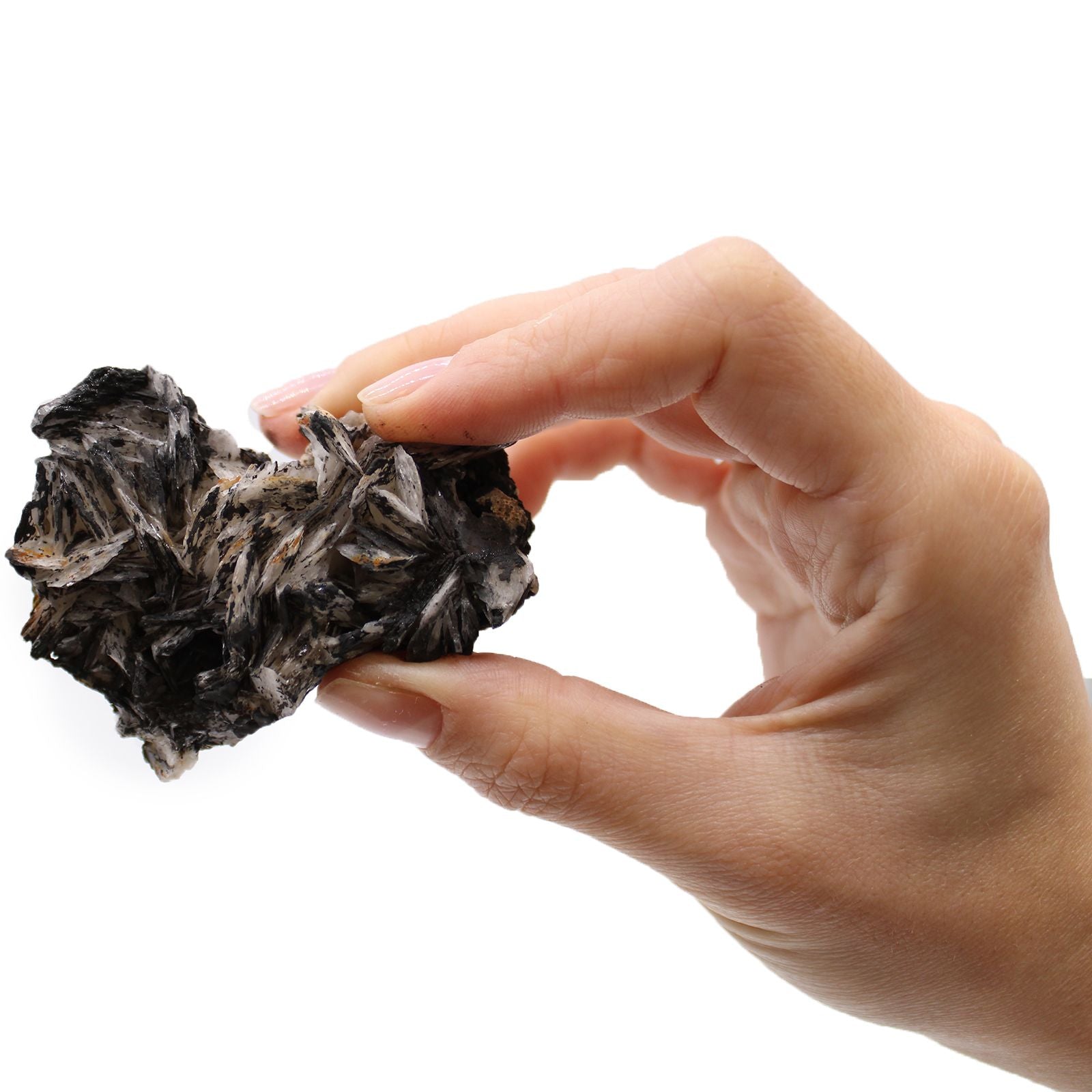 Coffret de spécimens minéraux – Pièces mixtes (environ 24 pièces) - Karmic Artisan